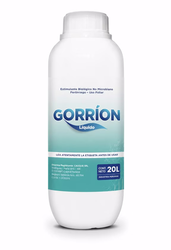Gorrión